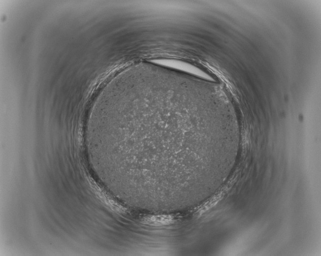 X0000087520353200705041218