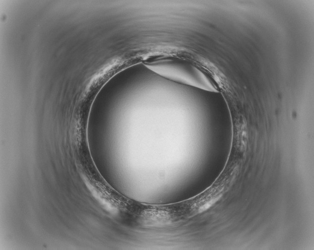 X0000087520354200705041218