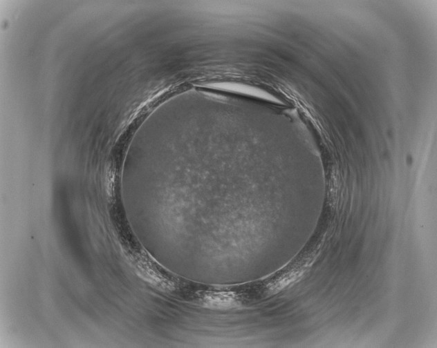 X0000087520355200705041218