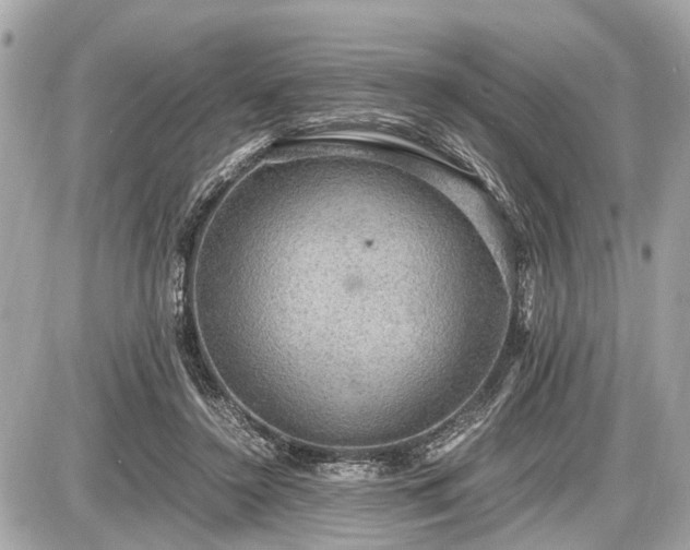 X0000087520356200705041218