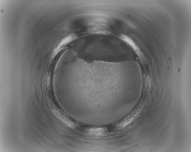 X0000087520357200705041218