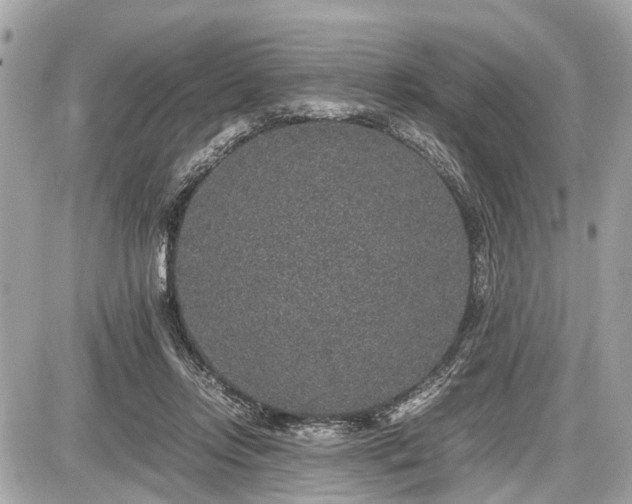 X0000087520358200705041218