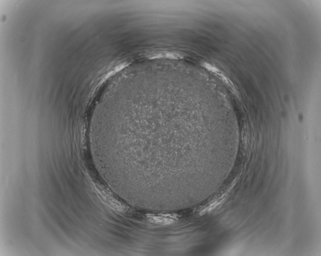 X0000087520359200705041218