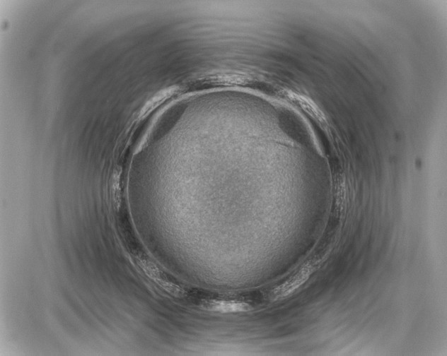 X0000087520360200705041218