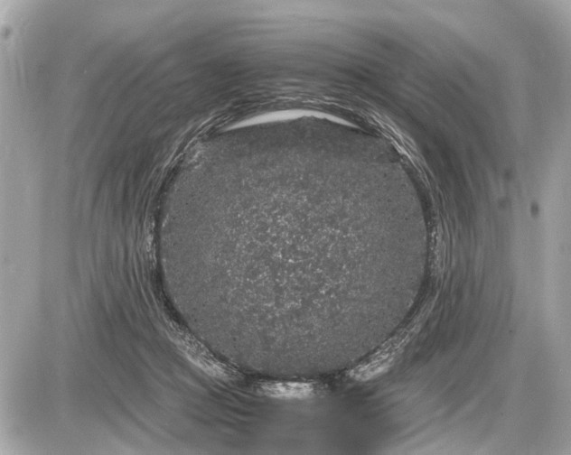 X0000087520361200705041218