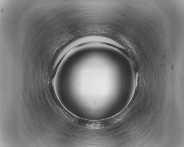 X0000087520362200705041218