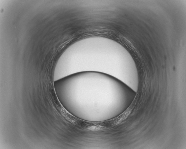 X0000087520364200705041218