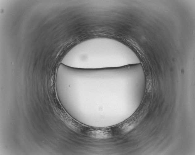 X0000087520365200705041218