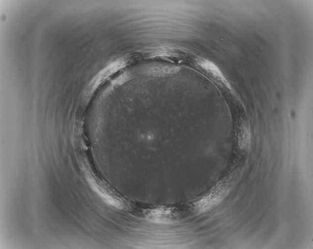 X0000087520366200705041218