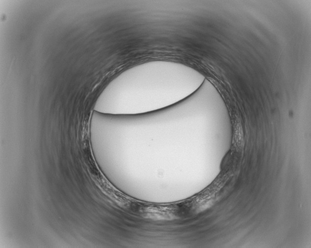 X0000087520367200705041218