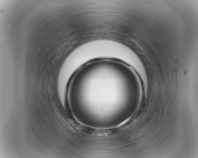 X0000087520368200705041218