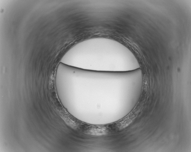 X0000087520369200705041218