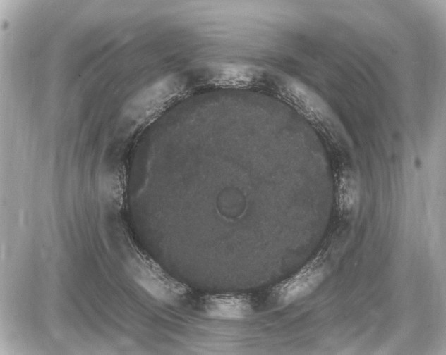 X0000087520370200705041218