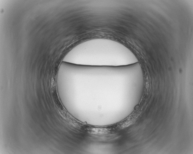 X0000087520371200705041218