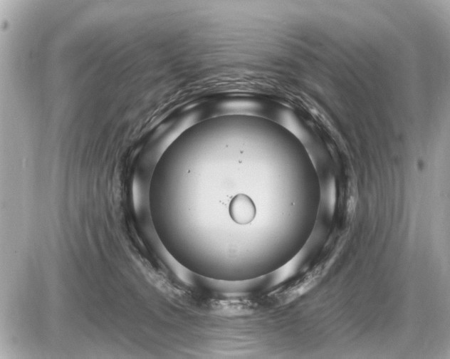 X0000087520372200705041218