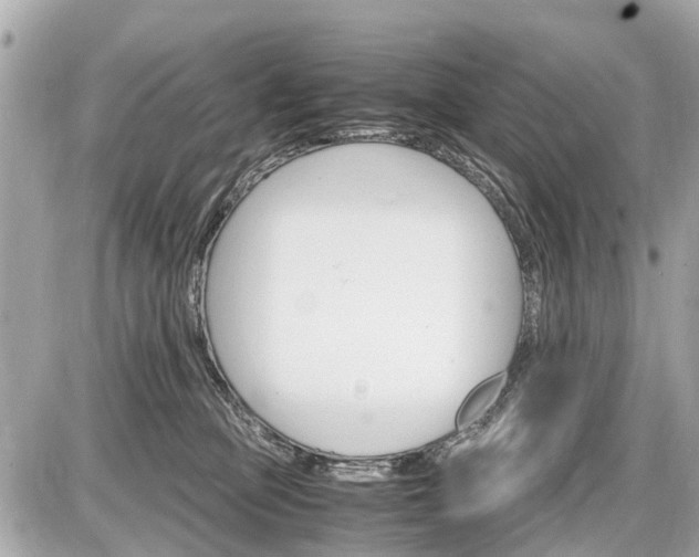 X0000087520373200705041218