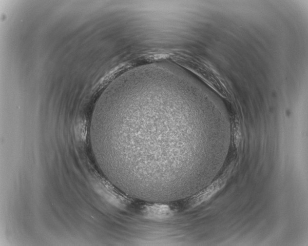 X0000087520374200705041218