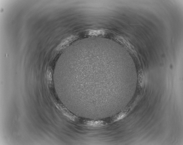 X0000087520375200705041218