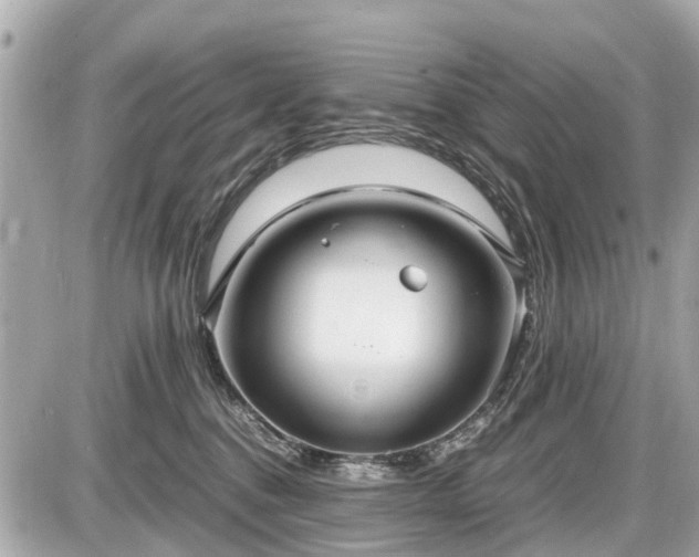 X0000087520376200705041218