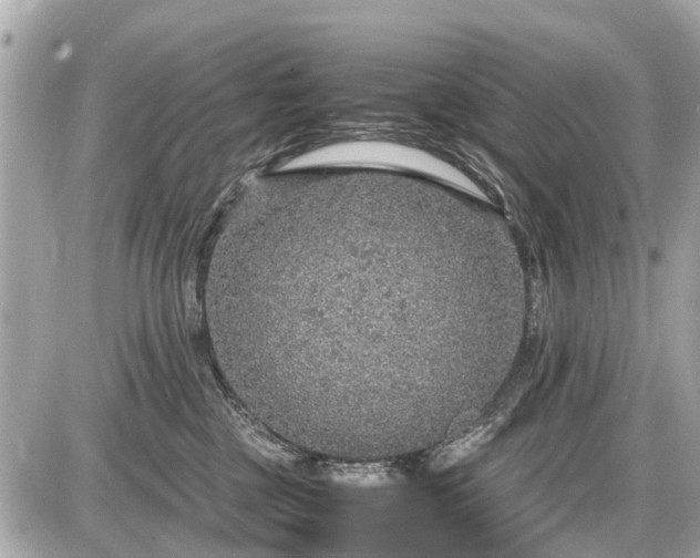 X0000087520377200705041219