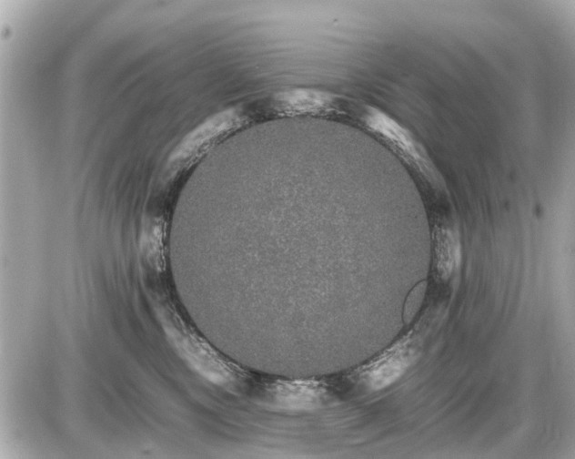 X0000087520378200705041219