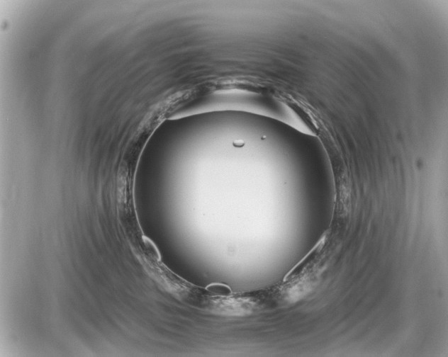 X0000087520379200705041219