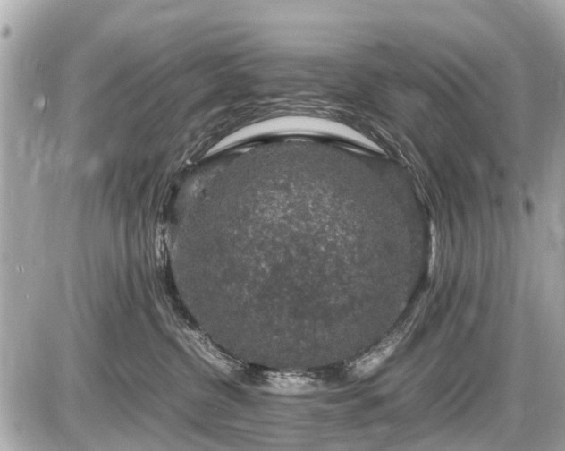 X0000087520380200705041219