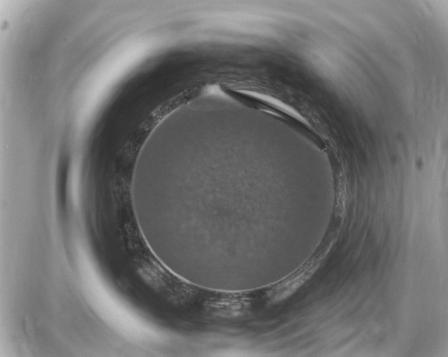 X0000087520383200705041219