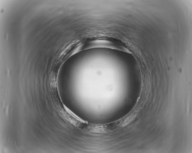 X0000087520384200705041219