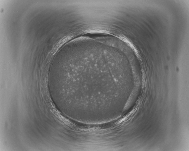 X0000087520385200705041218