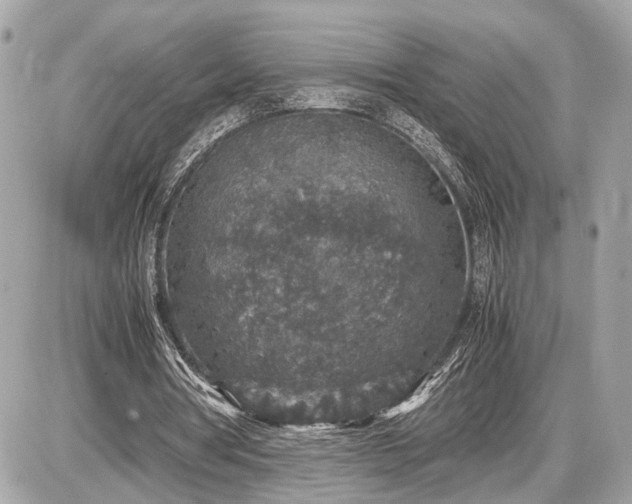 X0000087520386200705041218