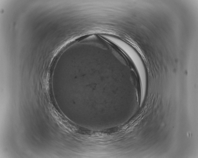 X0000087520387200705041218