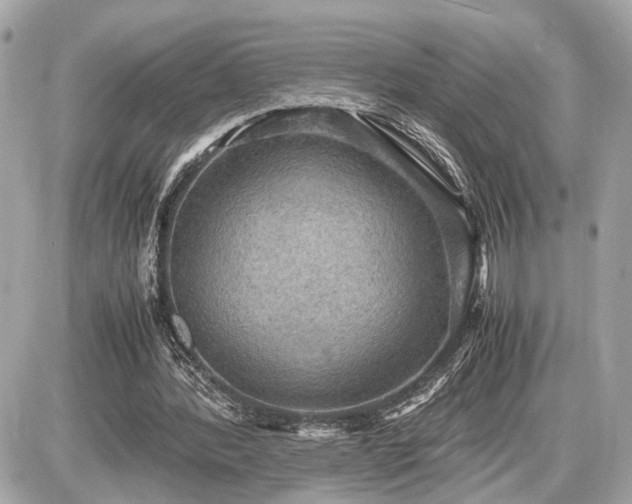 X0000087520388200705041218