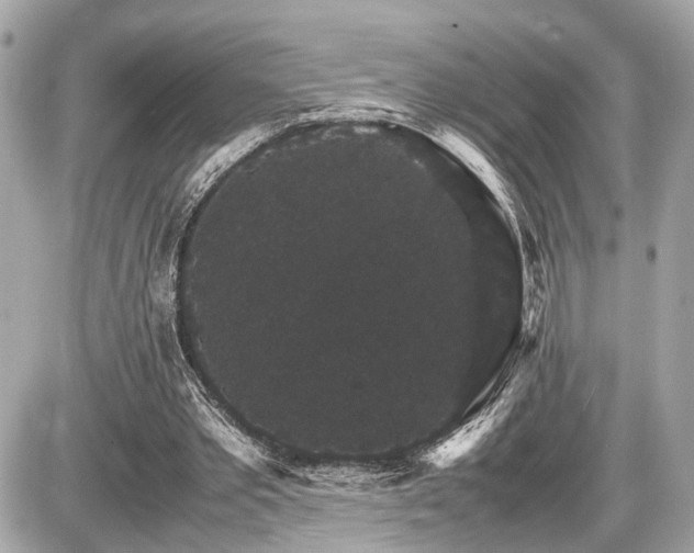 X0000087520389200705041218