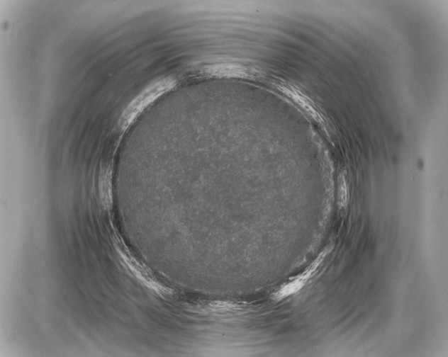 X0000087520390200705041218