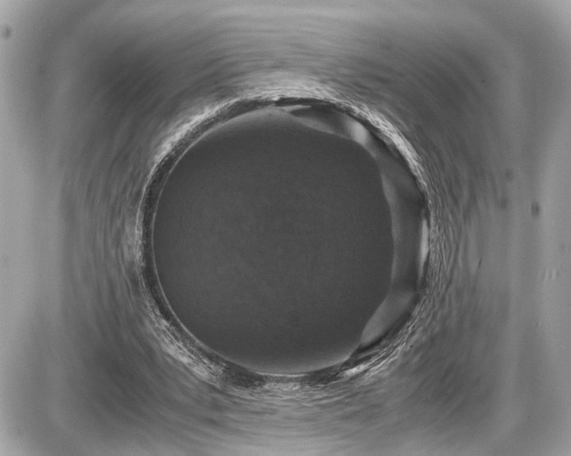 X0000087520391200705041218