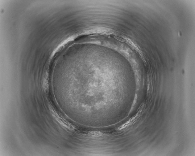 X0000087520392200705041218