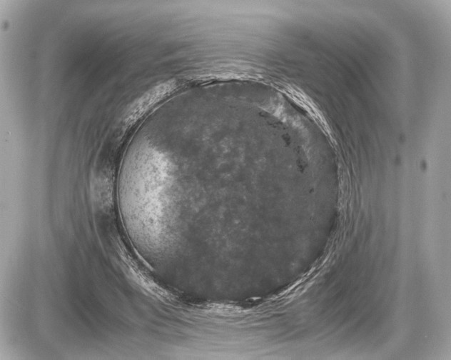 X0000087520393200705041218