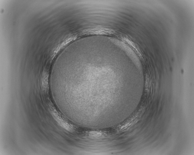 X0000087520394200705041218