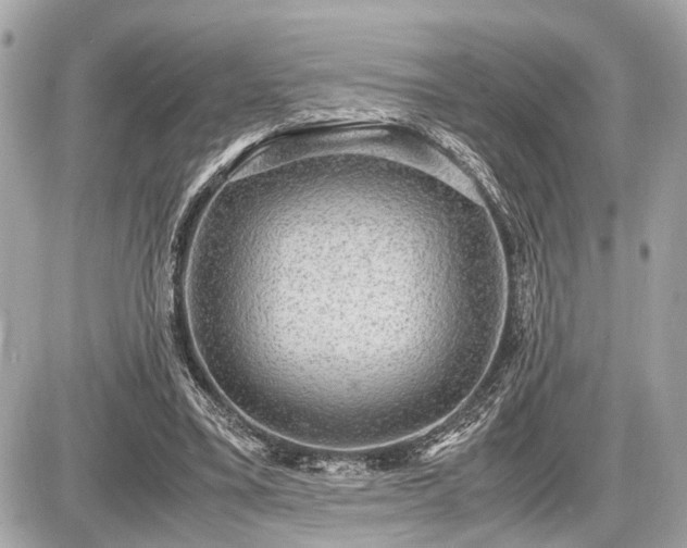 X0000087520395200705041218