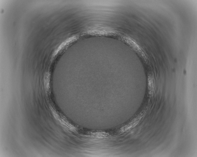 X0000087520396200705041218