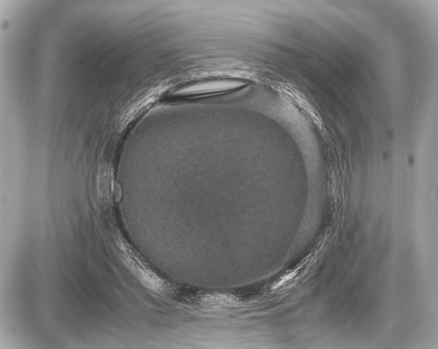 X0000087520397200705041218