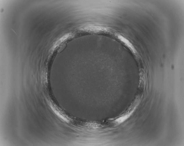 X0000087520399200705041218