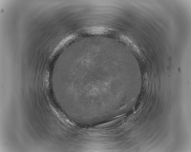 X0000087520400200705041218