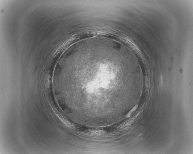 X0000087520401200705041218