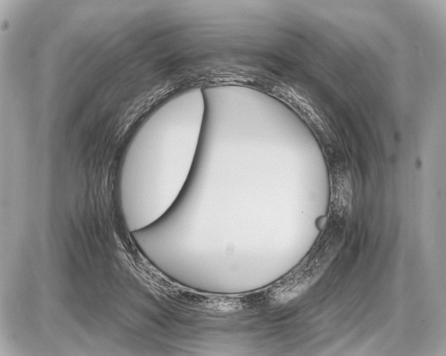 X0000087520402200705041218