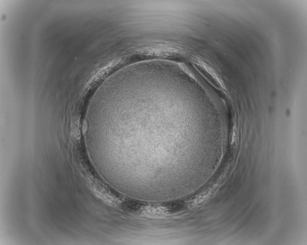 X0000087520403200705041218