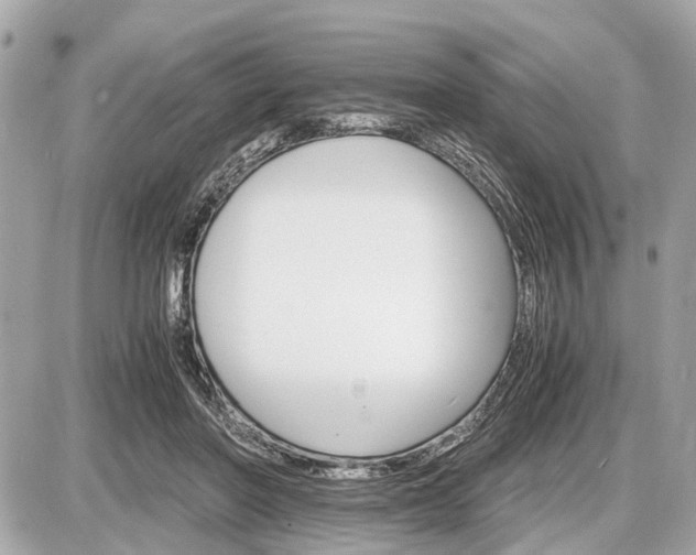 X0000087520406200705041217