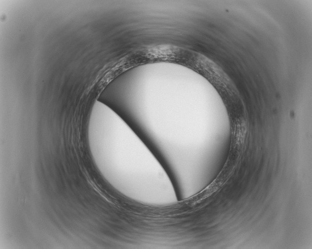 X0000087520408200705041217