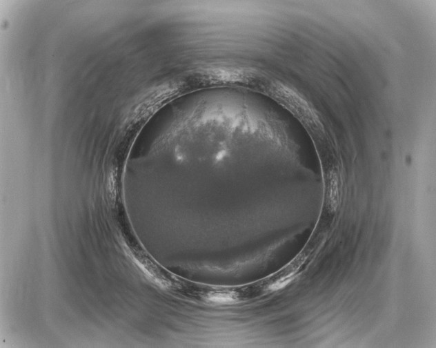 X0000087520410200705041217